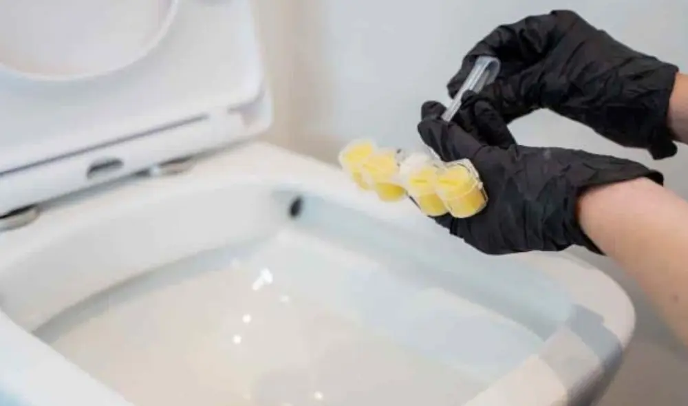 Conoce cómo dejar blanco el inodoro con trucos caseros. Foto: Pixabay