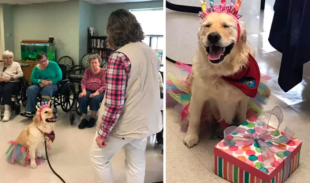 En complicidad con los residentes de un centro de rehabilitación, una mujer organizó una celebración para su querida mascota. Foto: Nicole Croteau/ Facebook En complicidad con los residentes de un centro de rehabilitación, una mujer organizó una celebración para su querida mascota. Foto: Nicole Croteau/ Facebook