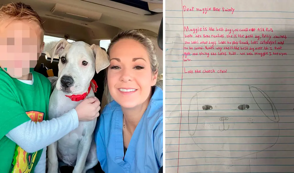 Una familia acogió a una perrita de forma temporal, luego de que la rescataron de la calle con tan solo unas semanas de nacida. Foto: North Shore Animal League America Una familia acogió a una perrita de forma temporal, luego de que la rescataron de la calle con tan solo unas semanas de nacida. Foto: North Shore Animal League America