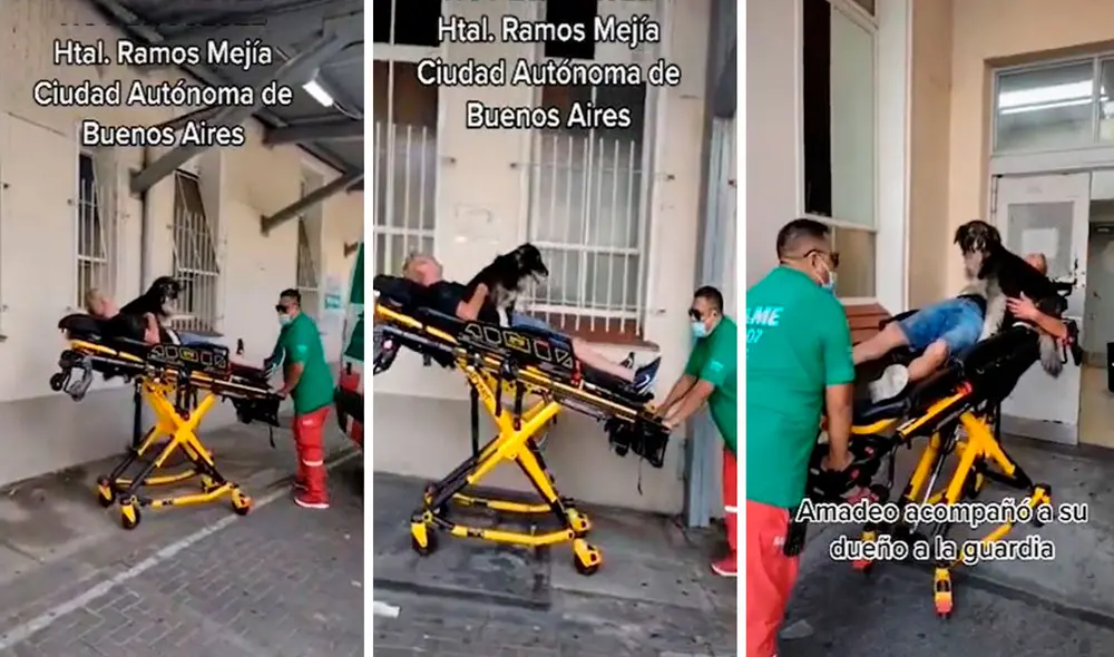 Una mujer fue testigo de la emotiva escena entre el hombre y su mascota, que se dio en los exteriores del establecimiento, la cual grabó con su celular. Foto: captura de YouTube Una mujer fue testigo de la emotiva escena entre el hombre y su mascota, que se dio en los exteriores del establecimiento, la cual grabó con su celular. Foto: captura de YouTube