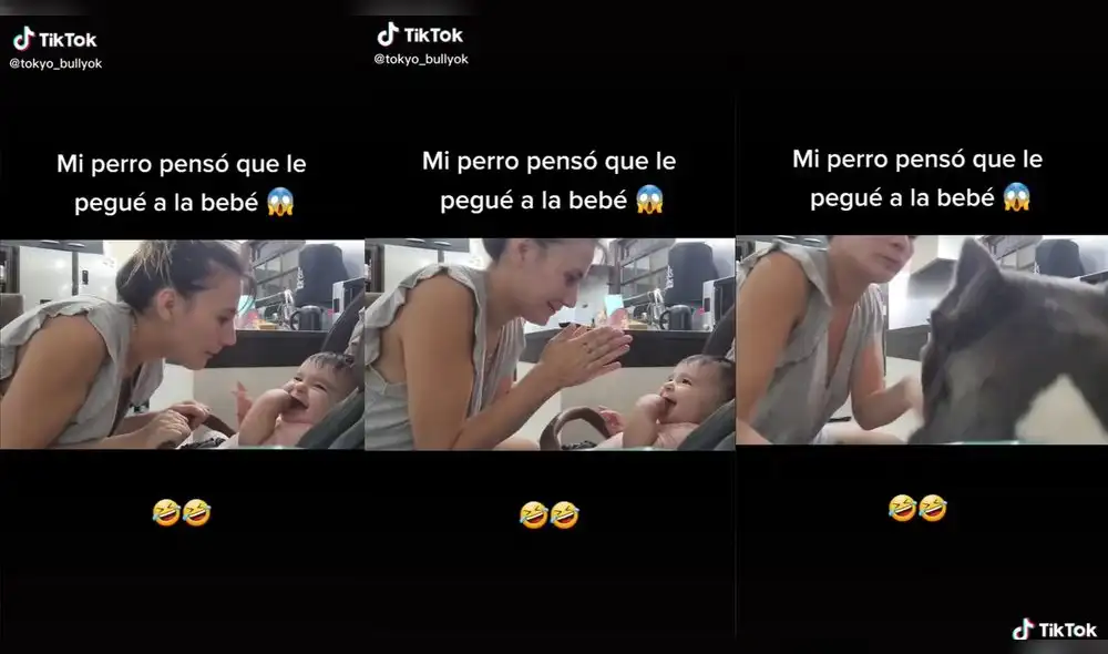 El cachorro se marchó rápidamente. Foto: captura de TikTok El cachorro se marchó rápidamente. Foto: captura de TikTok