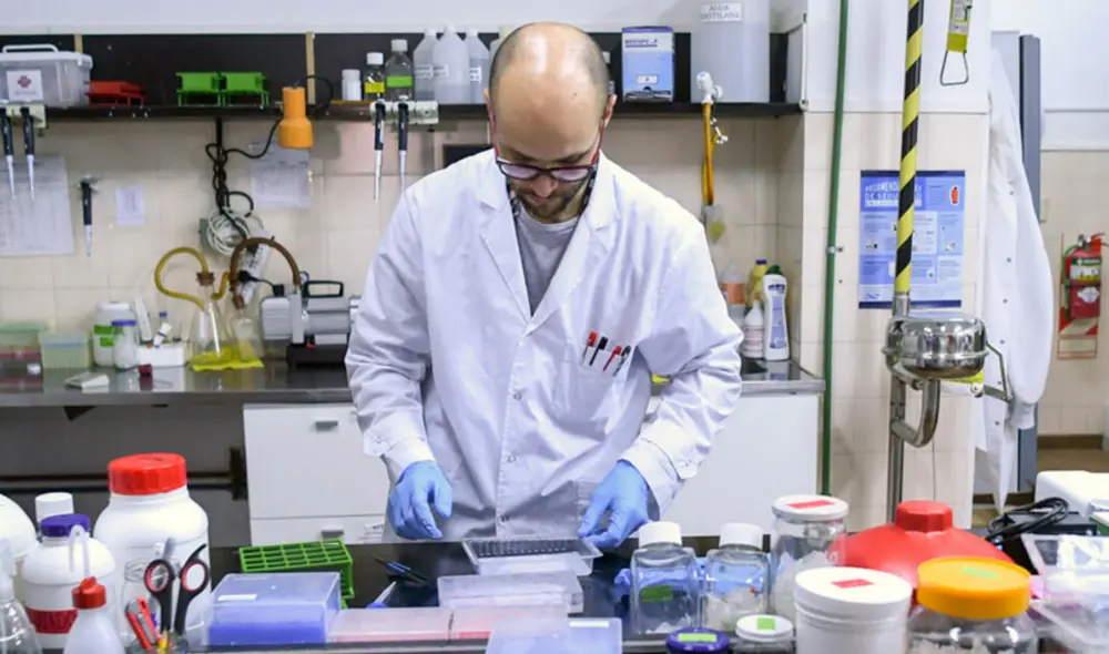 La visa H-1B está destinada a trabajadores que buscan desarrollar trabajos que requieran estudios especializados o investigaciones. Foto: AFP