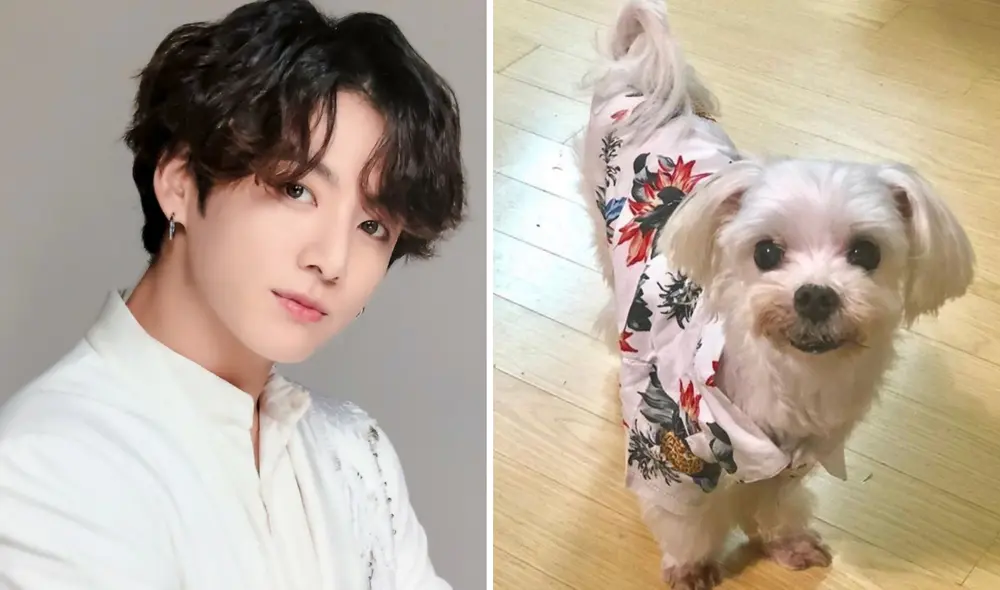 Gureum fue la mascota de Jungkook de BTS por más de 20 años y fue adoptado tras ser abandonado en un albergue. Foto: composición La República/BIGHIT/Twitter via @bamtseokjin_