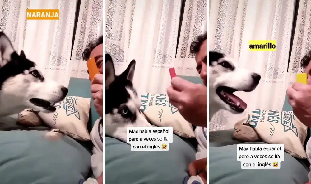 El clip viral consiguió más de 23 millones de reproducciones. Foto: captura de TikTok