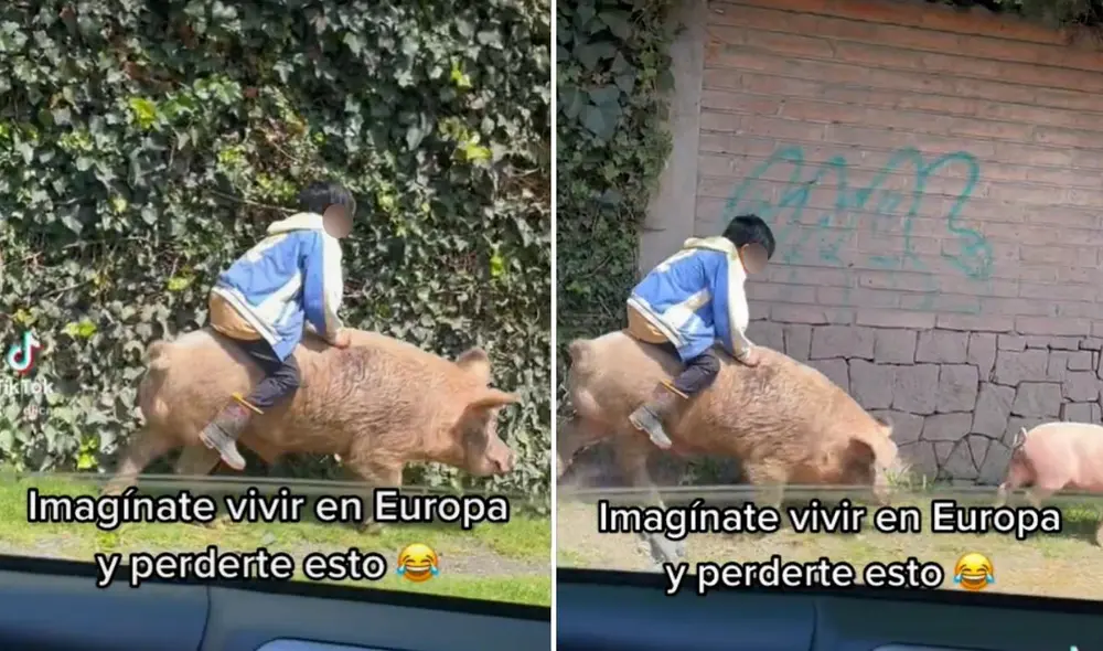 La viral escena logró obtener más de 1,2 millones de reproducciones, 87.500 'me gusta' y cientos de comentarios en poco tiempo. Foto: captura de TikTok La viral escena logró obtener más de 1,2 millones de reproducciones, 87.500 'me gusta' y cientos de comentarios en poco tiempo. Foto: captura de TikTok