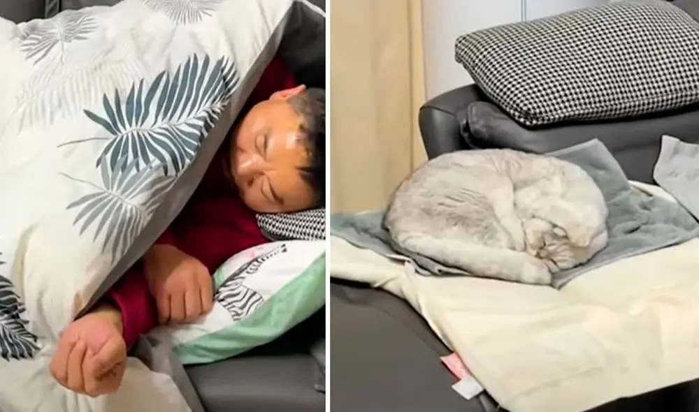 Un gato trató de acompañar a su dueño; sin embargo, no imaginó que iba a ser una mala idea al tener que soportar sus ronquidos. Foto: captura de YouTube