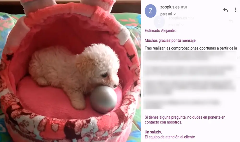 El negocio de ocasionarle problemas por la devolución, tuvo un generoso gesto con los perritos sin hogar. Foto: captura de Facebook