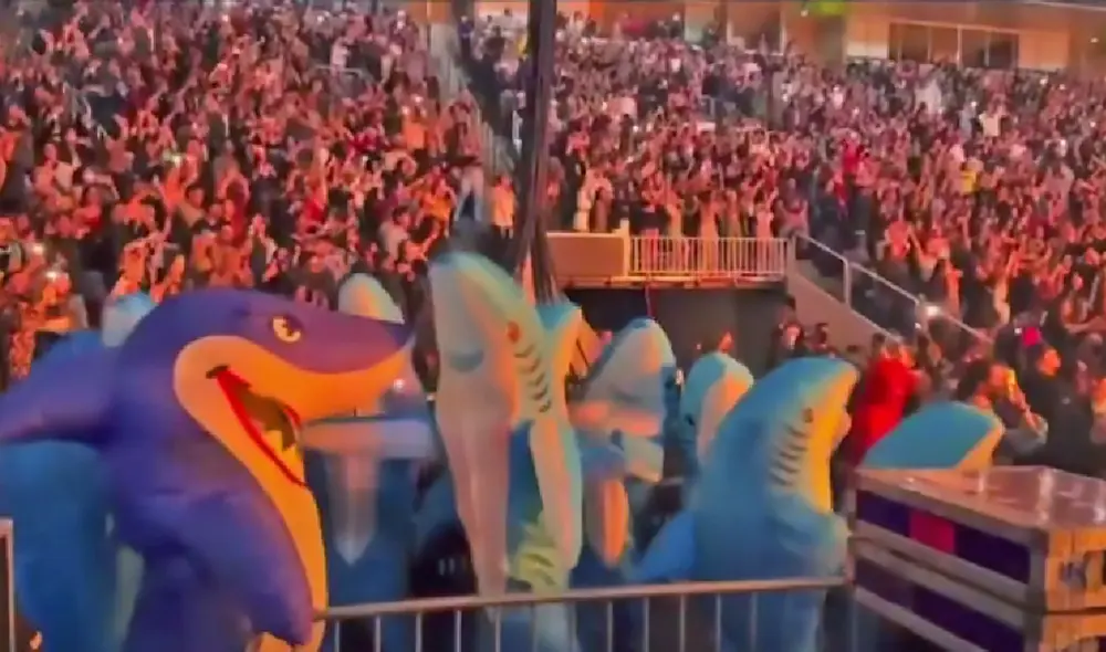 El clip consiguió 6,4 millones de reproducciones en la red social. Foto: captura de TikTok