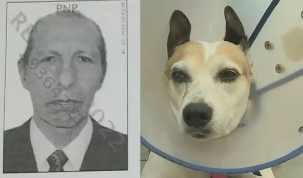 Familia exige que agentes de la PNP detengan al hombre por maltrato animal. Foto: captura de Latina Familia exige que agentes de la PNP detengan al hombre por maltrato animal. Foto: captura de Latina