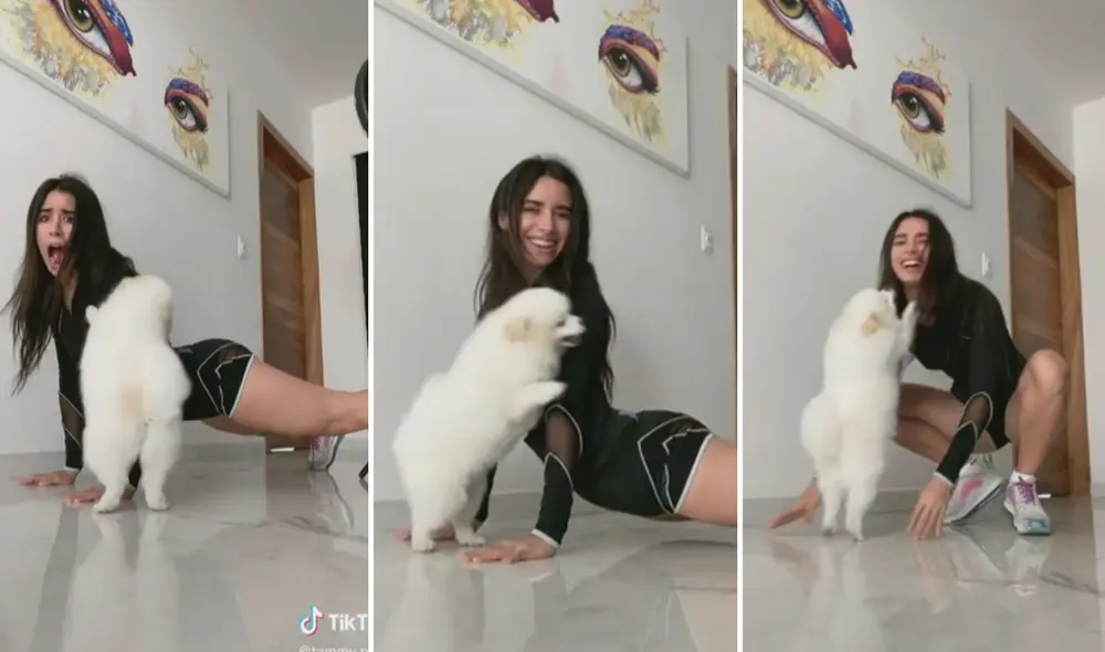 El divertido video hizo reír a miles de usuarios en las redes sociales. Foto: captura de TikTok