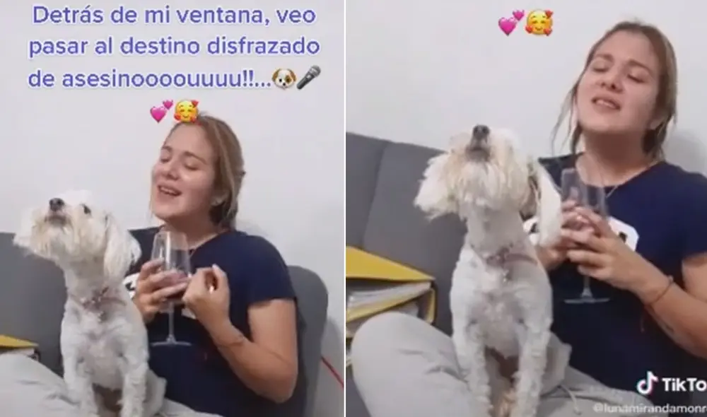 Miles de usuarios en las redes sociales no han parado de reír con estas imágenes. Foto: captura de TikTok