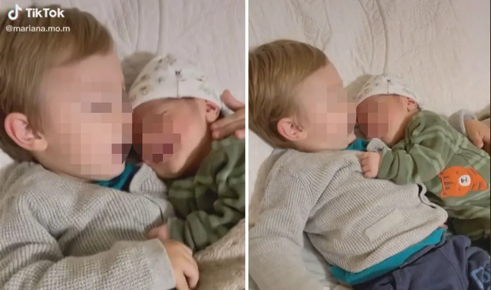 Miles de usuarios han quedado conmovidos al ver este emotivo video. Foto: captura de TikTok