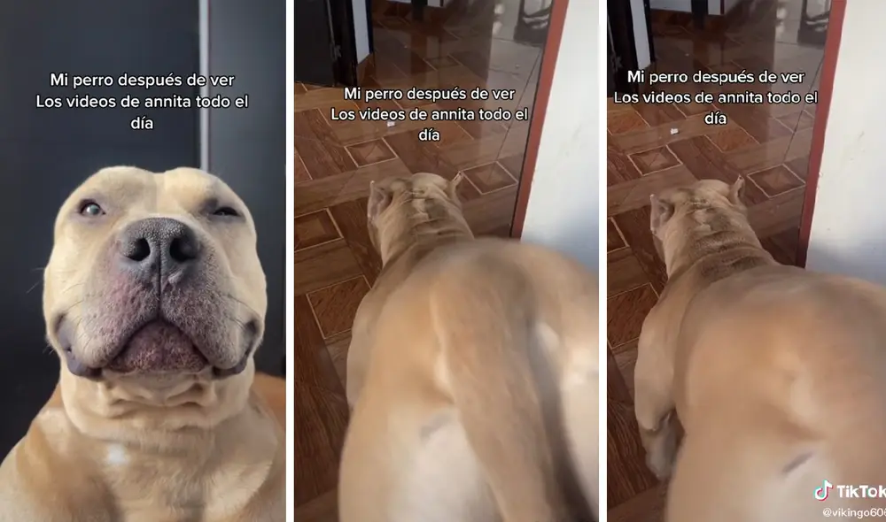 El clip sumó alrededor de 2 millones de reproducciones en la red social. Foto: captura de TikTok