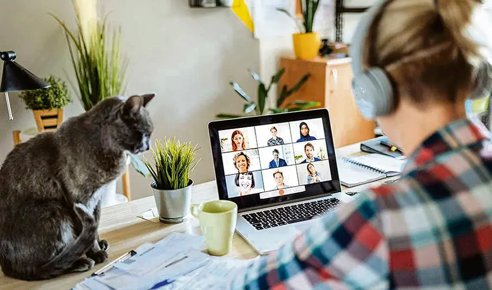 Trabajo virtual. Retoman debate de la ley de teletrabajo. Foto: difusión