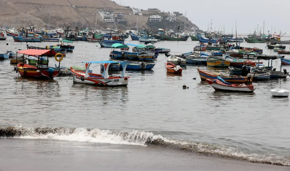 Padrón Único inluye a más de 5.000 afectados, cifra podría incrementarse.  Foto: Andina.