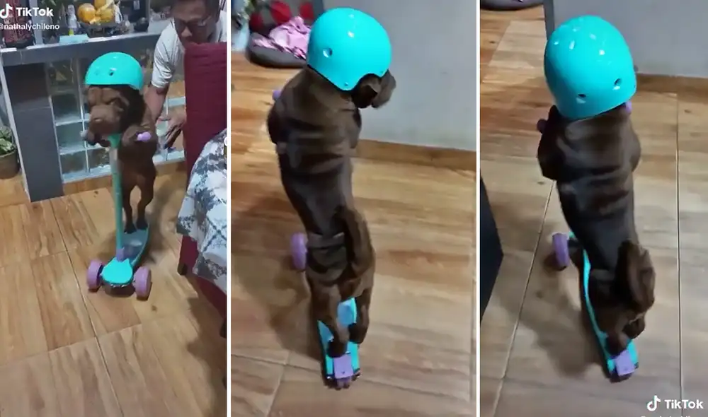 El clip consiguió más de 14.000 'me gusta' en la red social. Foto: captura de TikTok