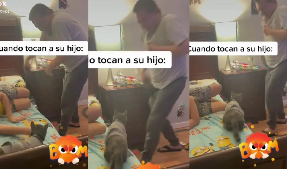 El minino demostró el cariño por su pequeño dueño al protegerlo. Foto: captura de TikTok