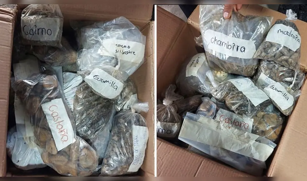 El intervenido junto a las especies fueron puestas a disposición de Serfor Cusco. Foto: composición LR/PNP