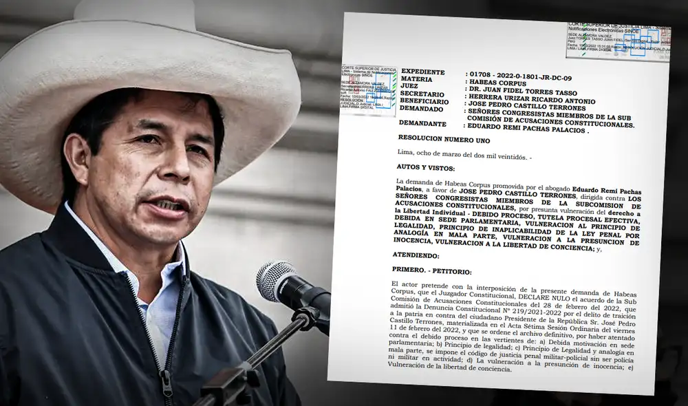 El recurso fue presentado ante el Poder Judicial y este lo admitió a trámite. Foto: composición de Jazmin Ceras/La República