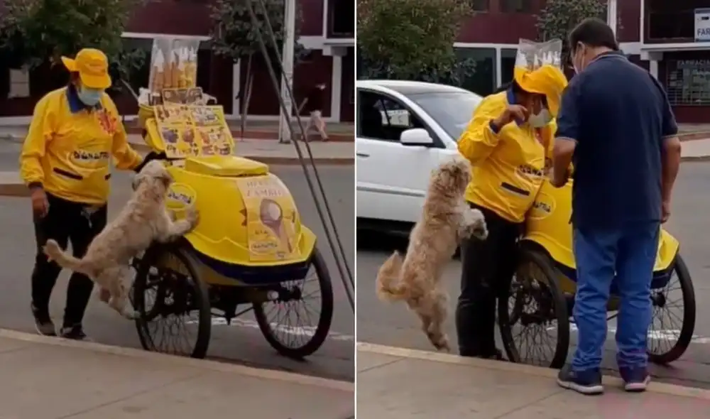 La viral escena logró obtener más de 715.000 reproducciones, 58.000 'me gusta' y miles de comentarios en poco tiempo. Foto: captura de TikTok