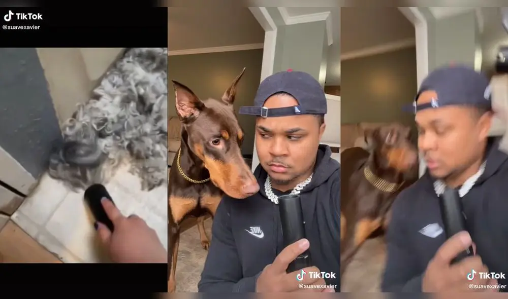 El joven es un reconocido tiktoker. Foto: captura de TikTok