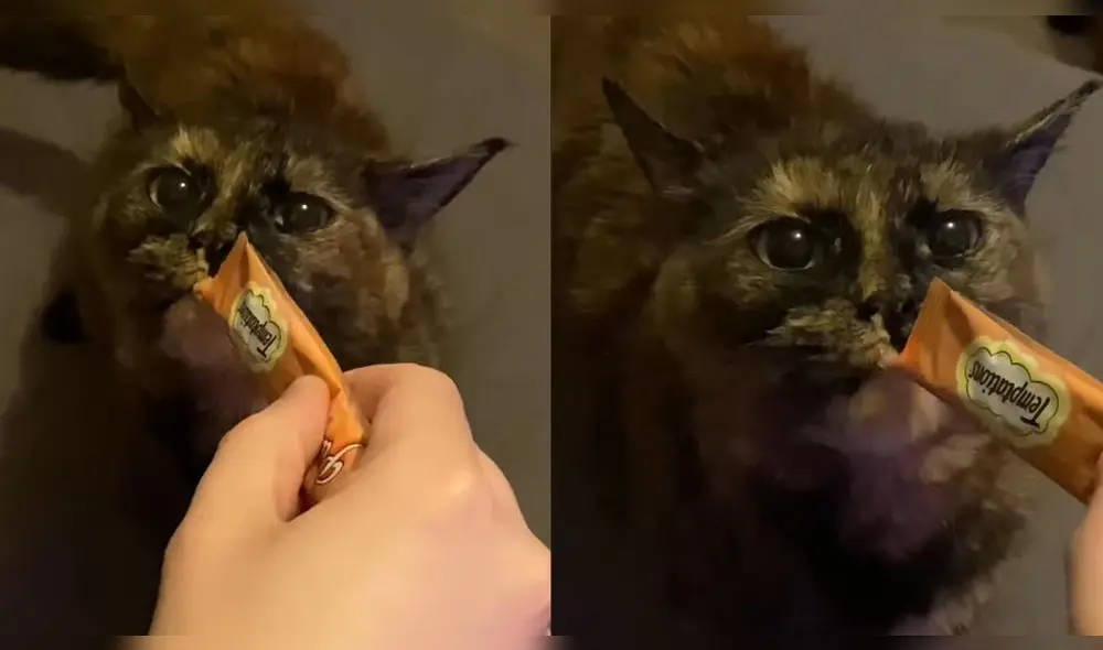 La joven le dio el yogurt que estaba dentro de la envoltura. Foto: captura de YouTube