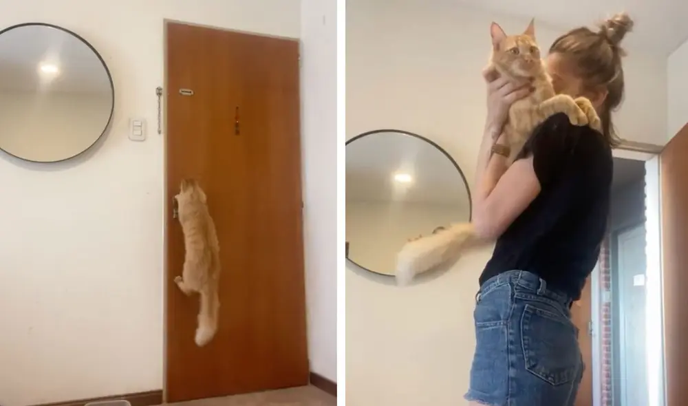 Las imágenes ya son tendencia en redes sociales. Foto: captura de YouTube