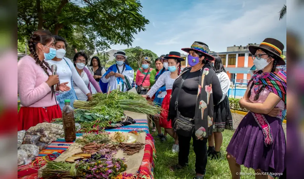 Mujeres fueron sobre acceso a los recursos genéticos y participación justa y equitativa en los beneficios. Foto: Minam Mujeres fueron sobre acceso a los recursos genéticos y participación justa y equitativa en los beneficios. Foto: Minam