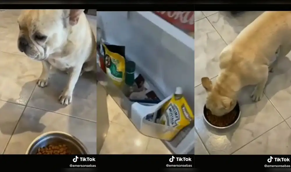 La mujer fingió echar agua y otro ingrediente que estaba en el refrigerador. Foto: captura de TikTok