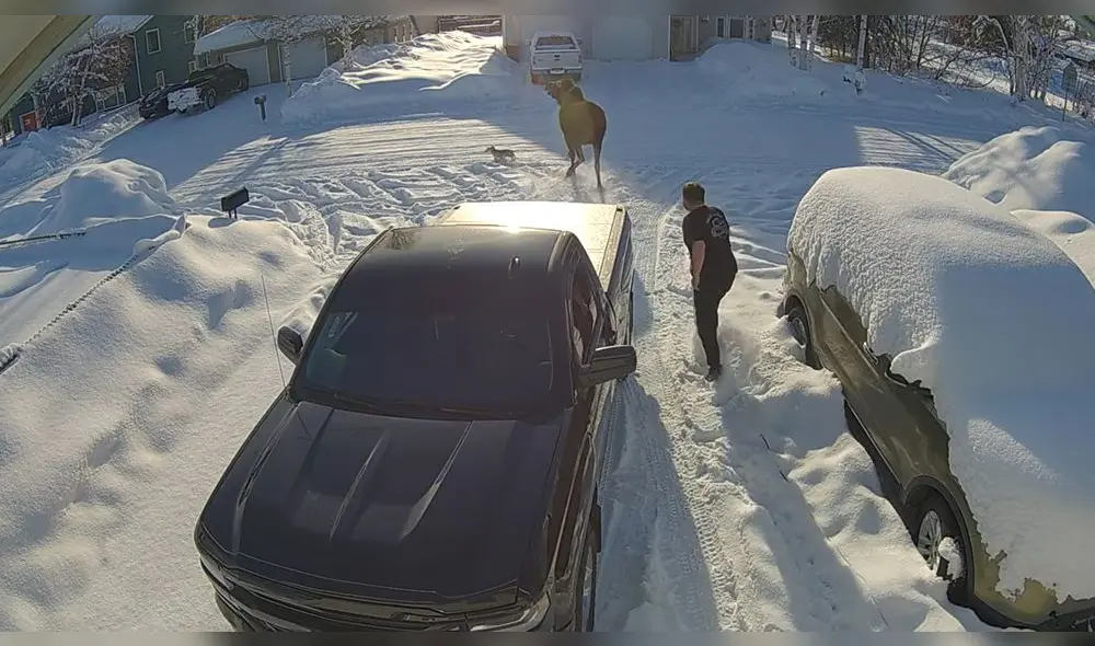 El hombre auxilió a su perro y lo puso a buen recaudo. Foto: captura de YouTube