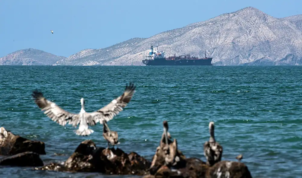 Conoce el precio del dólar en Venezuela hoy, según Dólar Monitor y DolarToday. Conoce el precio del dólar en Venezuela hoy, según Dólar Monitor y DolarToday.