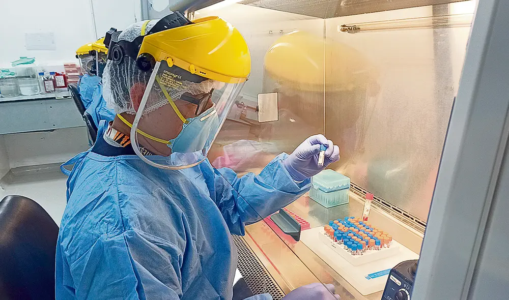 Ciencia. Trabajo de secuenciamiento genómico del INS permitió descubrir el nuevo sublinaje. Foto: difusión