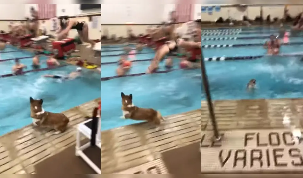 En el lugar había un número considerable de personas. Foto: captura de YouTube