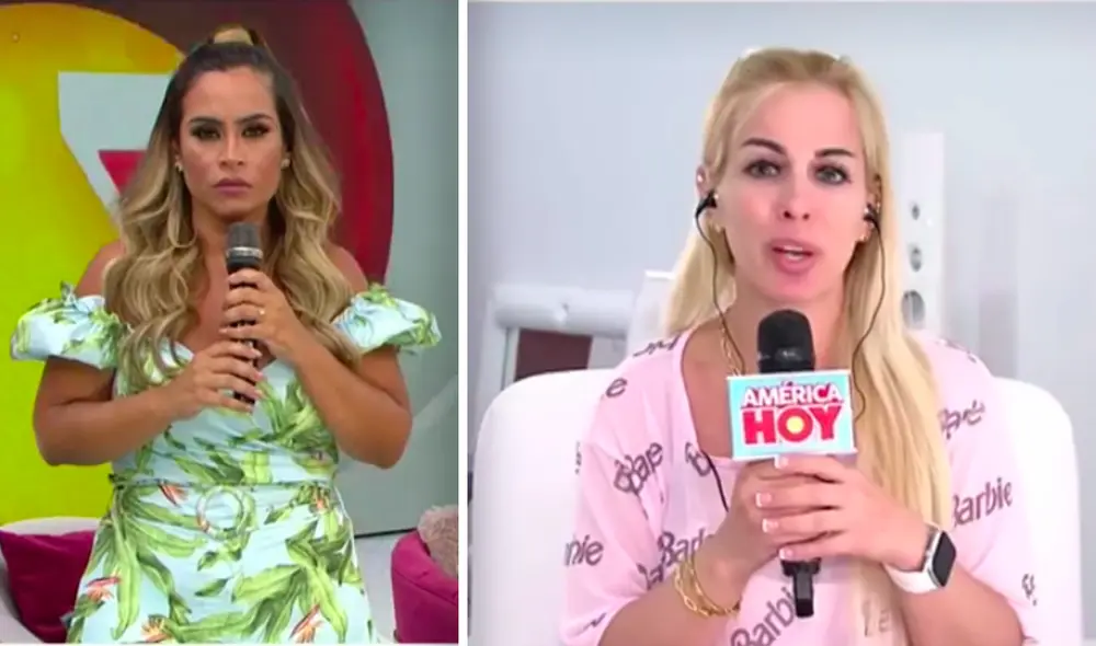 "Tenía que ver el tema de colegios, de la persona que va a ver a mis hijos", explicó Dalia Durán. Foto: captura América TV