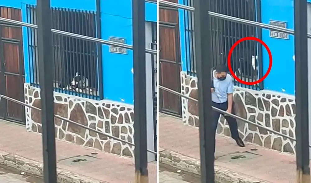 Un joven grabó el preciso momento en que la mascota de sus vecinos dio un tremendo susto a los transeúntes que pasaban por su casa. Foto: captura de Facebook