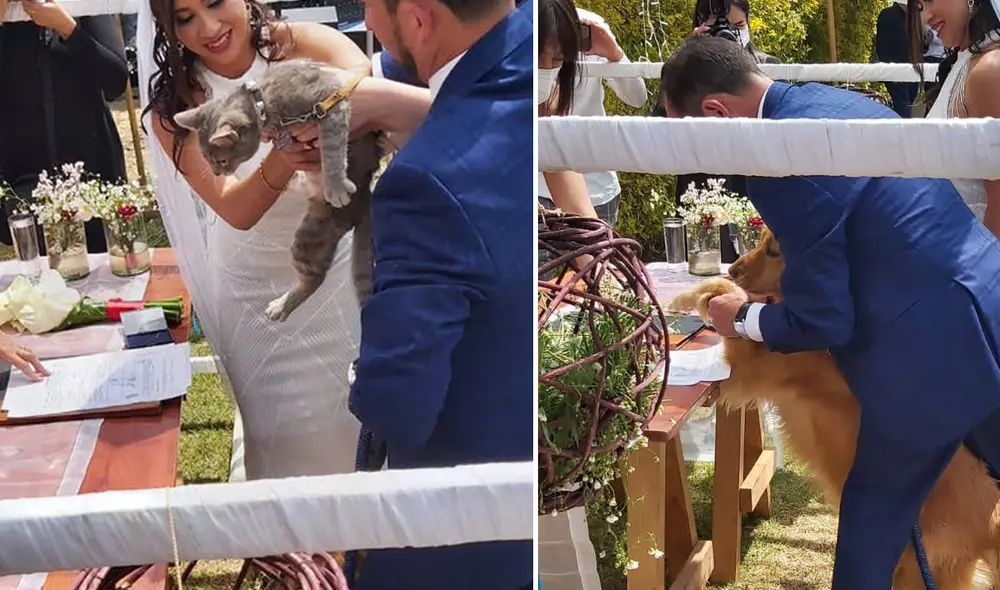 Las imágenes consiguieron más de 140.000 'me gusta' en la red social. Foto: captura de Facebook