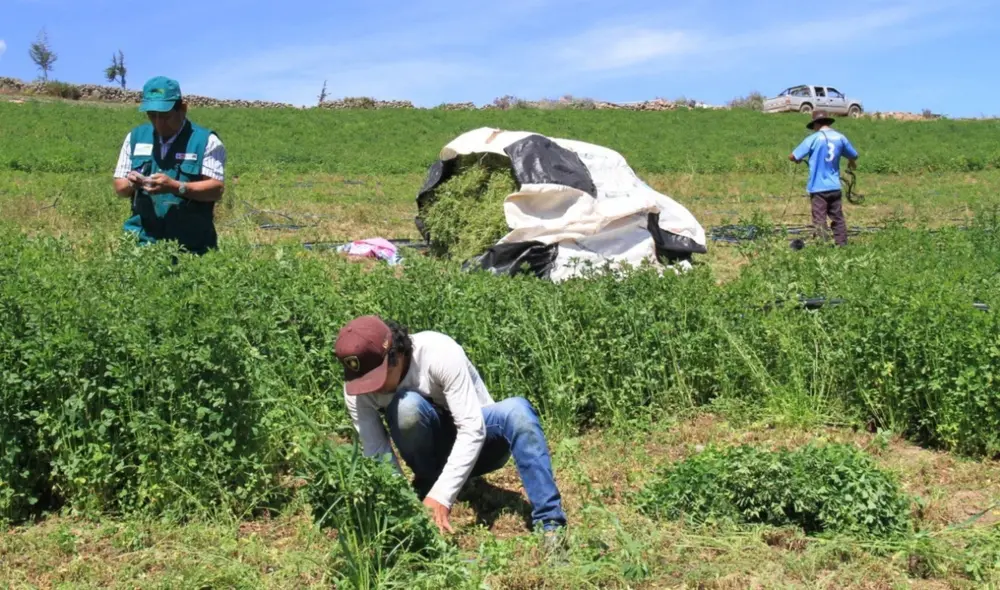 El mandatario enfatizó que este sector ha sido golpeado por la crisis ocasionada por la COVID-19. Foto: Andina. El mandatario enfatizó que este sector ha sido golpeado por la crisis ocasionada por la COVID-19. Foto: Andina.