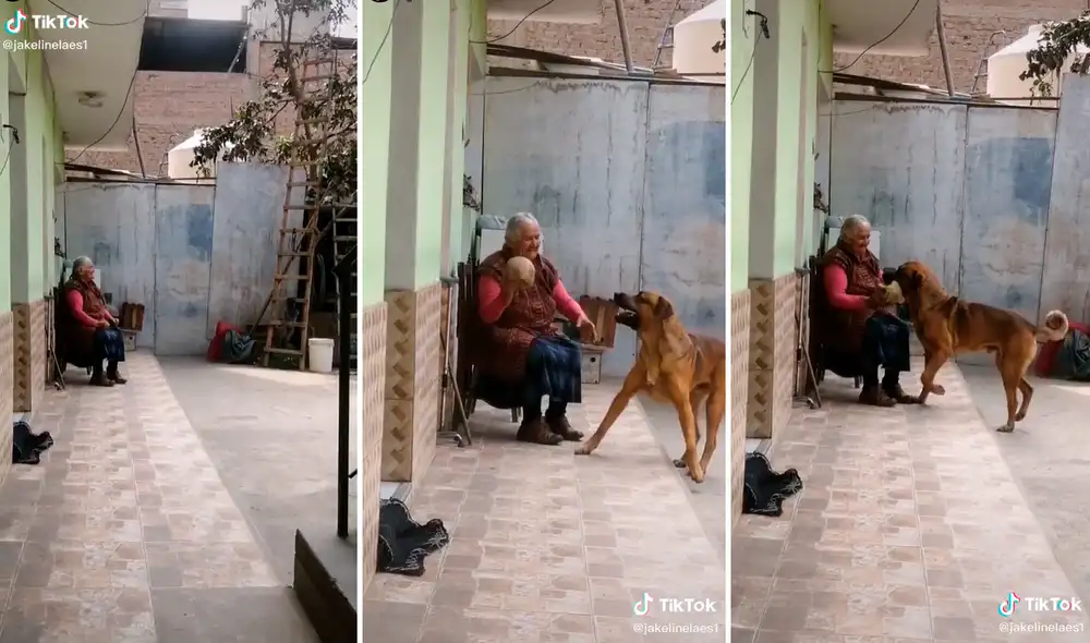 El video ha logrado más de 154.000 visualizaciones en redes sociales. Foto: captura de TikTok