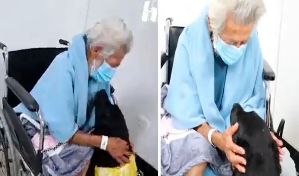 El perrito Moisés no quiso abandonar a su dueño y lo esperó en el exterior del hospital por varios días. Foto: captura de Facebook El perrito Moisés no quiso abandonar a su dueño y lo esperó en el exterior del hospital por varios días. Foto: captura de Facebook