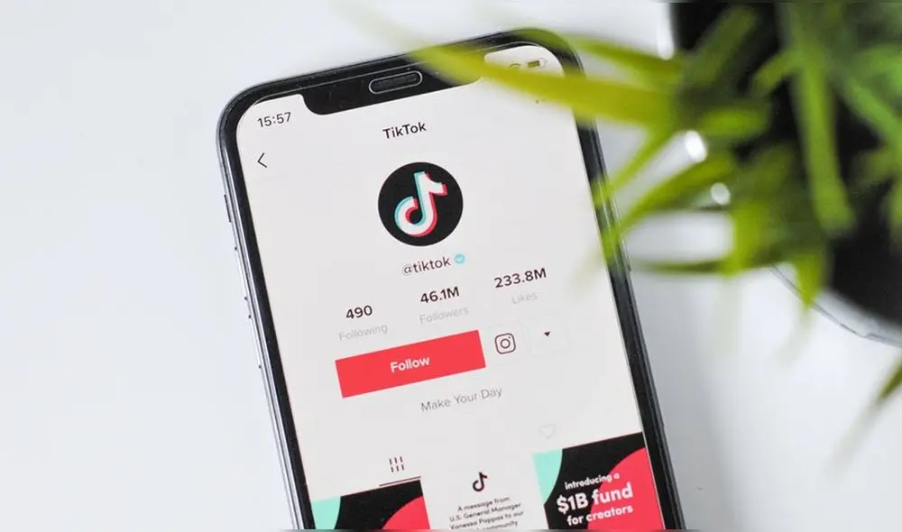 Esta funcionalidad de TikTok estará activa en iOS y Android. Foto: TuExpertoApps