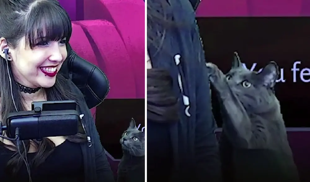 La grabación consiguió más de 404.000 reproducciones. Foto: captura de TikTok