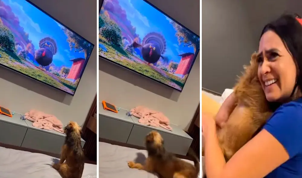 Un perro corrió a los brazos de su dueña para que lo protegiera de un salvaje animal que salió en la pantalla durante una cinta animada. Foto: captura de Facebook Un perro corrió a los brazos de su dueña para que lo protegiera de un salvaje animal que salió en la pantalla durante una cinta animada. Foto: captura de Facebook