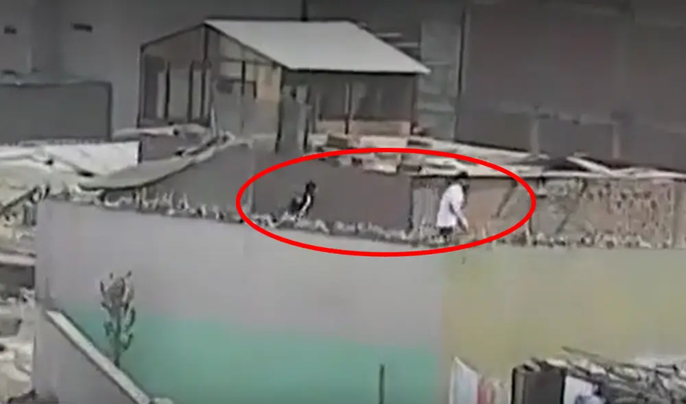 Dos delincuentes usaban los techos de antiguas quintas como vía de escape tras asaltar a sus víctimas. Foto: captura de Canal N Dos delincuentes usaban los techos de antiguas quintas como vía de escape tras asaltar a sus víctimas. Foto: captura de Canal N