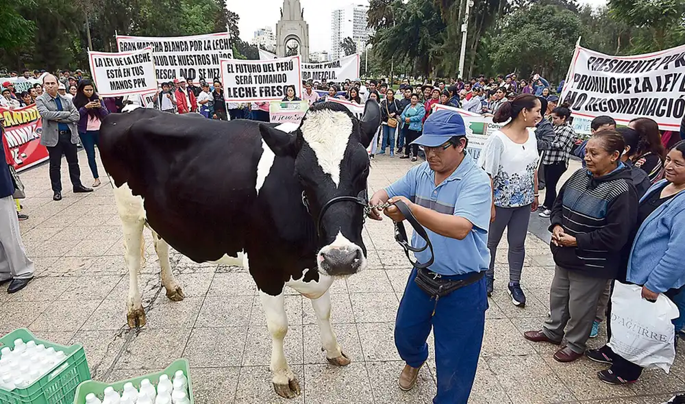 Vigencia del grupo de trabajo será de 180 días calendario contados desde el día de su instalación. Foto: La República. Vigencia del grupo de trabajo será de 180 días calendario contados desde el día de su instalación. Foto: La República.