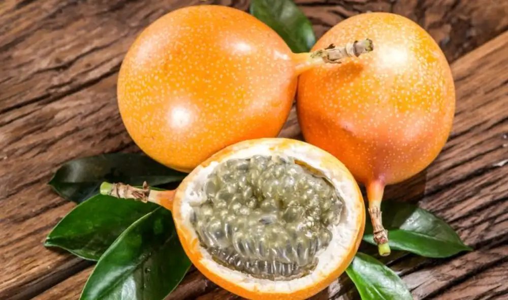 En 2021 las exportaciones de granadilla se incrementaron en 155% con respecto al año previo. Foto: Midagri. En 2021 las exportaciones de granadilla se incrementaron en 155% con respecto al año previo. Foto: Midagri.