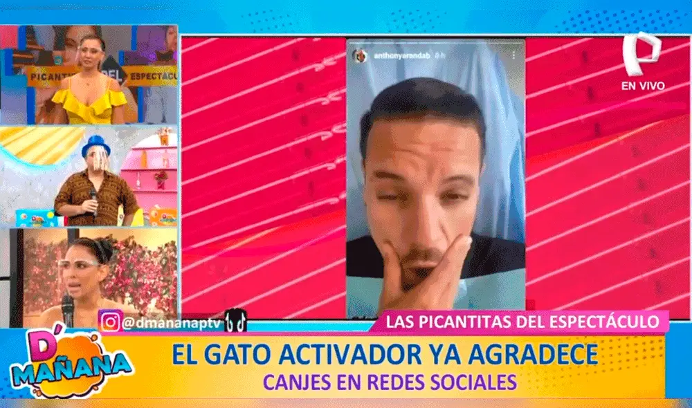 Karla Tarazona y ‘Metiche’ criticaron los nuevos 'arreglitos' del chico reality Anthony Aranda. Foto: captura de Panamericana TV