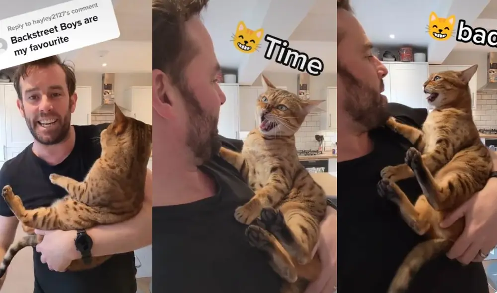 Nick Carter realizó un comentario elogiando las voces de los protagonistas. Foto: captura de TikTok