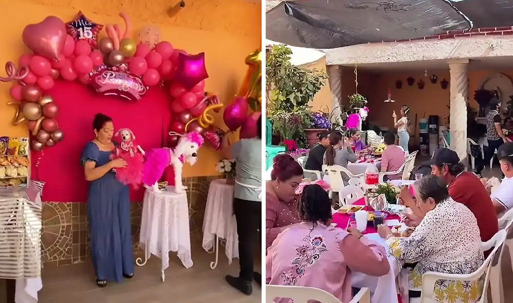 La escena consiguió más de 2,4 millones de reproducciones. Foto: captura de TikTok