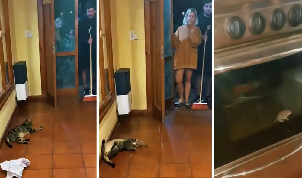 La escena consiguió más de 450.000 reproducciones. Foto: captura de TikTok La escena consiguió más de 450.000 reproducciones. Foto: captura de TikTok