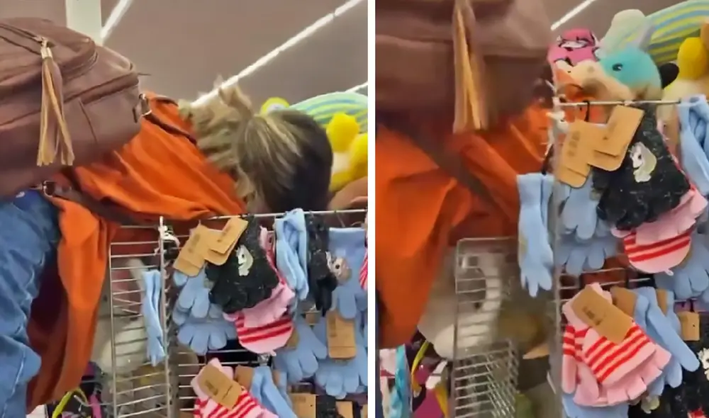 La grabación consiguió más de 7,4 millones de reproducciones. Foto: captura de TikTok La grabación consiguió más de 7,4 millones de reproducciones. Foto: captura de TikTok